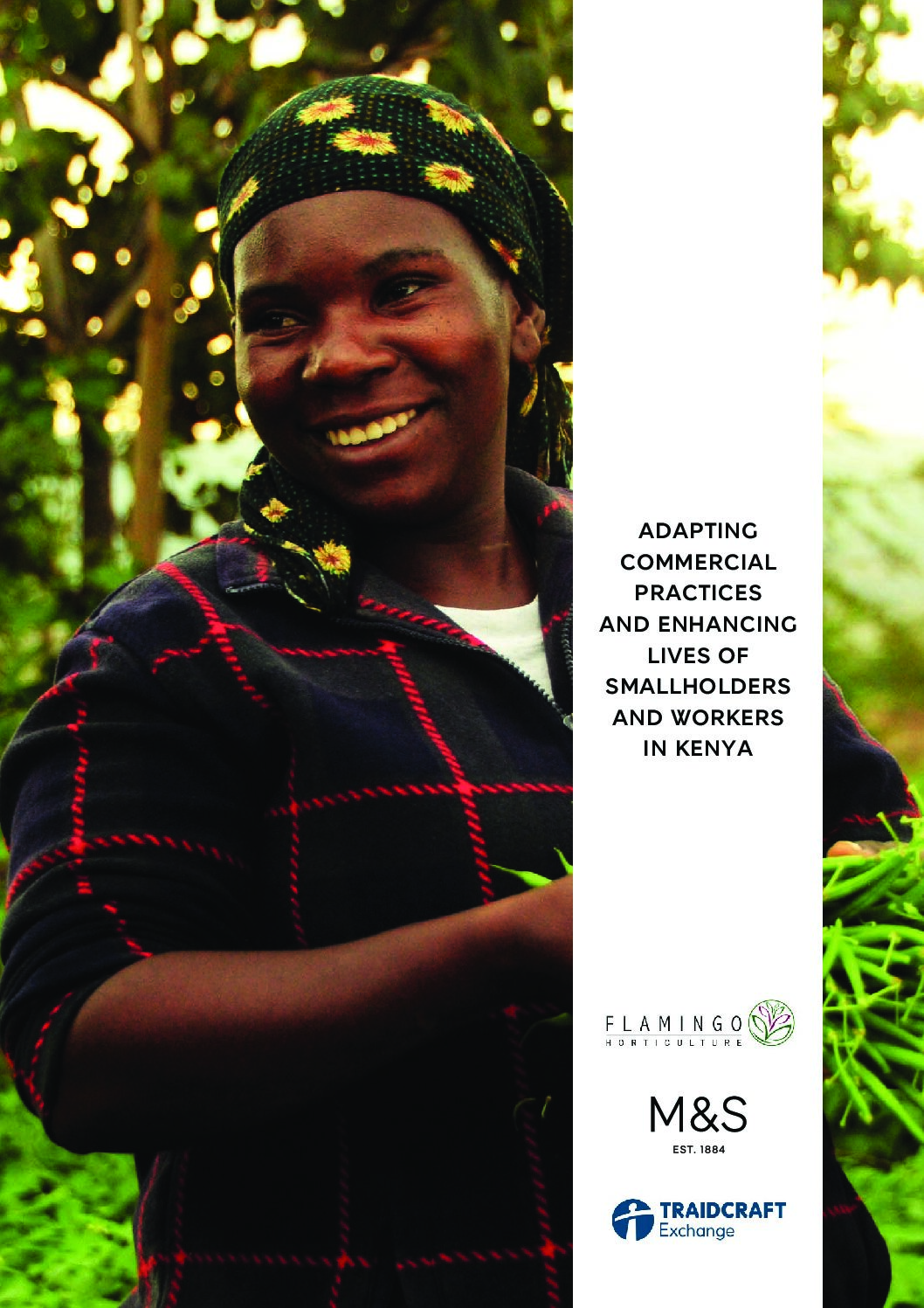 Adapting commercial practices and enhancing lives of smallholders and workers in Kenya