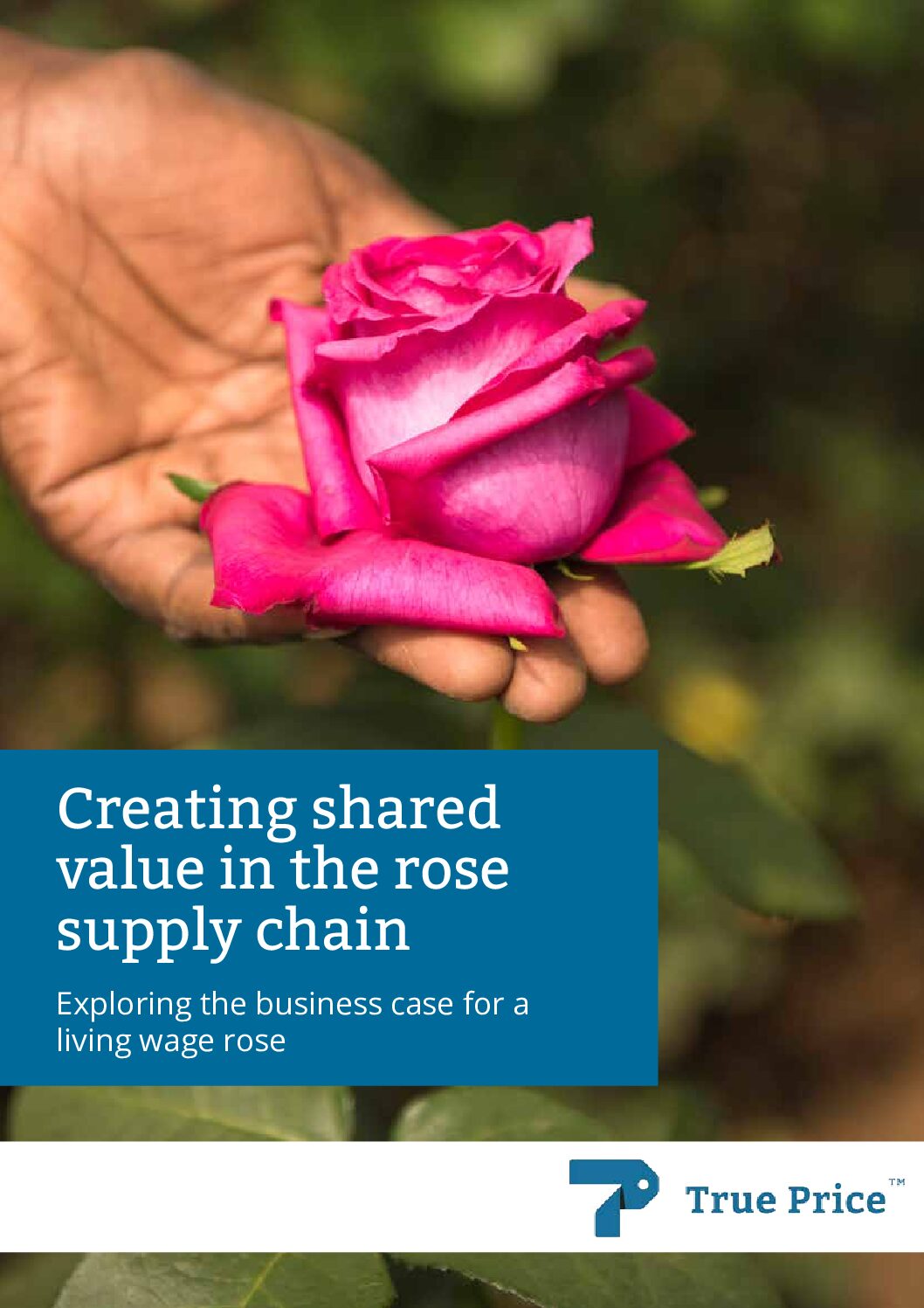 Creating shared value in the rose supply chain