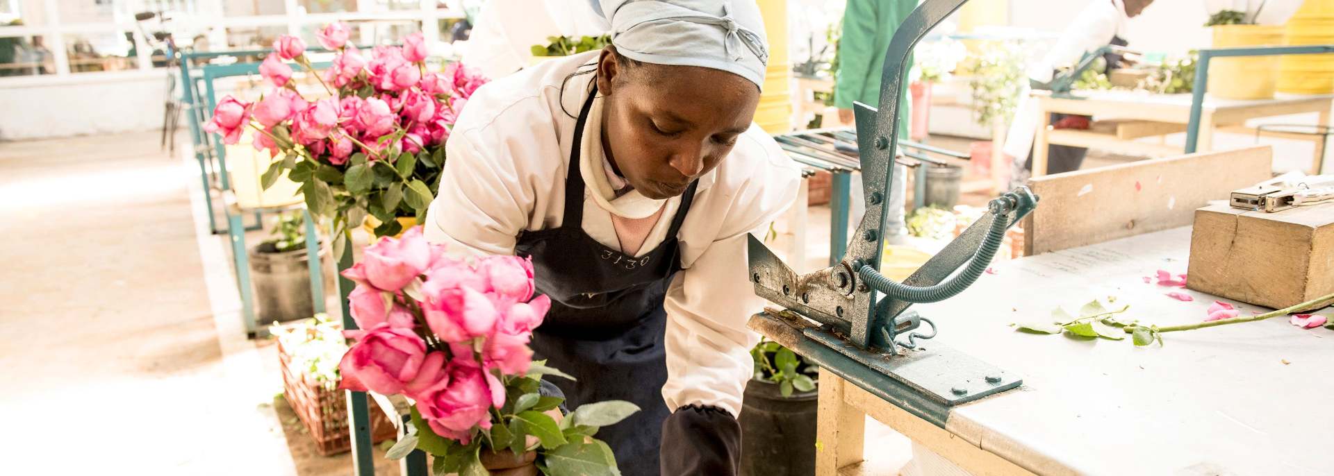 A manual for strengthening women’s leadership in the horticultural sector