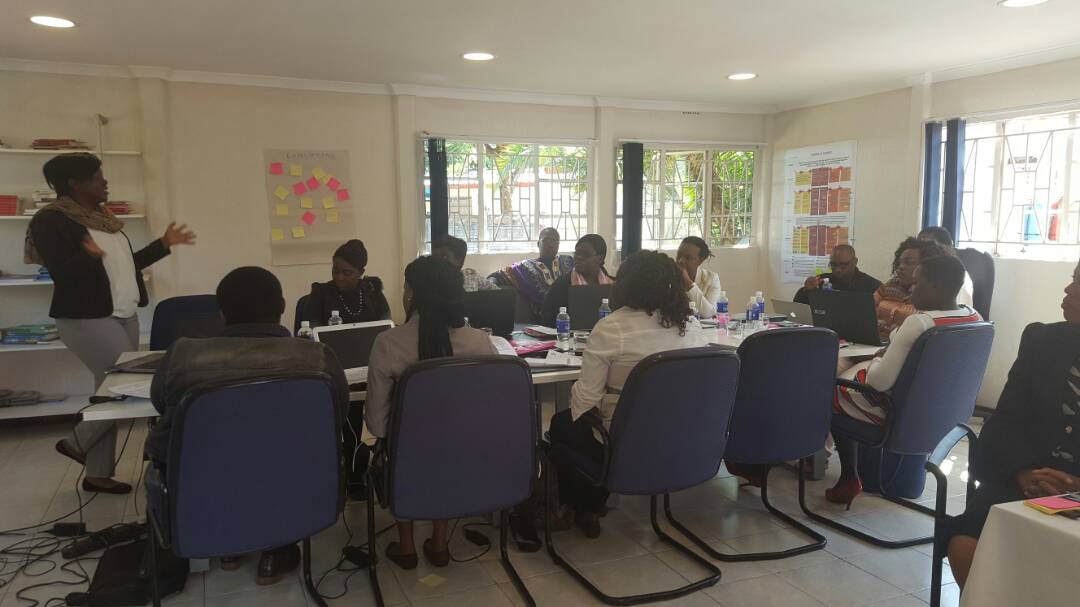 Hivos Southern Africa Conducts Outcome Harvesting for Women Empowered for Leadership partners in Zimbabwe